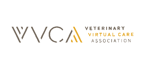Education Sponsor - VVCA Logo